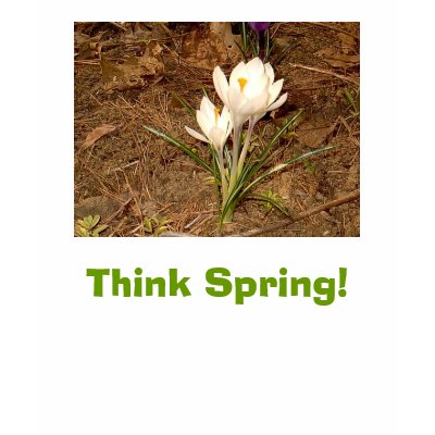 White Crocus, Think Spring! “EarthDayContest2007” Tee Shirt by eelkat