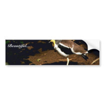 White-crowned Plover bumper stickers