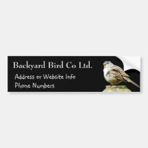 White Crowned Song Sparrow Bumper Stickers