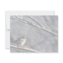 White-crowned sparrow female personalized invites