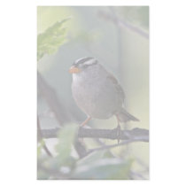 White-crowned Sparrow Custom Stationery