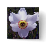 White Daffodil 1 Button