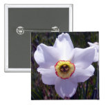 White Daffodil 1 Button