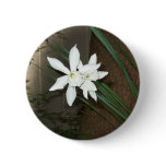 White Daffodils Pins