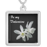 thalia, triandrus, narcissus, daffodil, valentine,