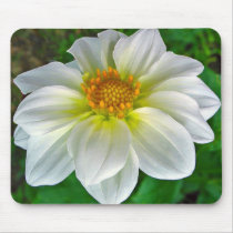 White Dahlia Bloom Mousepad