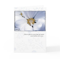 White Dahlia by Anna Wight cards by AnnaWight White Dahlia by Anna Wight cards
