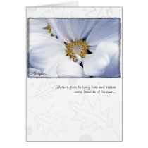 White Dahlia by Anna Wight cards