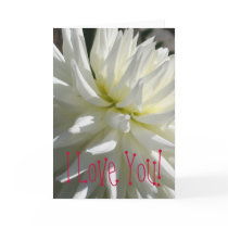 White Dahlia cards by ggbythebay White Dahlia cards