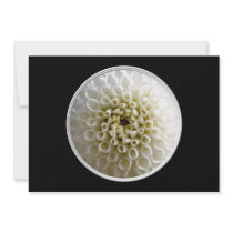 White Dahlia Close-up Personalized Invite