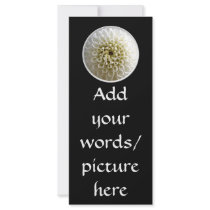 White Dahlia Close-up Rack Card Template