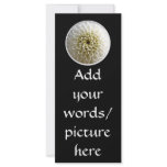 White Dahlia Close-up Rack Card Template