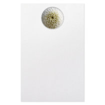 White Dahlia Close-up Custom Stationery