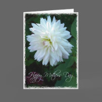 White Dahlia Happy Mother's Day cards
