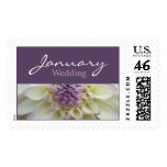 White Dahlia • January Wedding Stamp