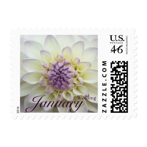 White Dahlia • January Wedding Stamp stamp