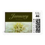 White Dahlia • January Wedding Stamp