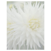 White Dahlia letterhead by HortusFloridus White Dahlia letterhead