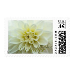 White Dahlia • October Wedding Stamp