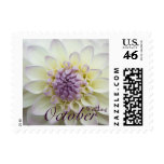 White Dahlia • October Wedding Stamp
