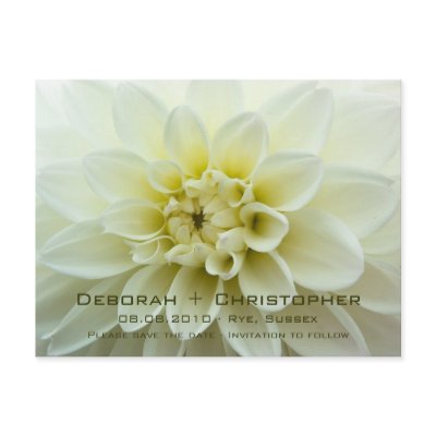 White Dahlia Save the Date Postcard