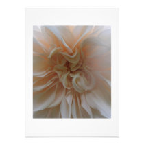 White Dahlia Up Close and Personal invitations