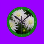White Dahlias(3 wall clocks