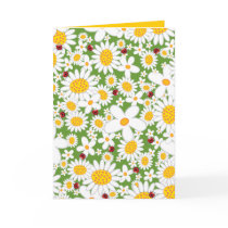 White Daisies and Ladybugs Invitation / Gift Card