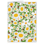 White Daisies and Ladybugs Invitation / Gift Card