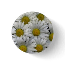 White Daisies buttons by DaisyMarie White Daisies buttons