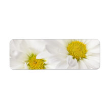 White Daisies - Customized Daisy Flower Template Return Address Label