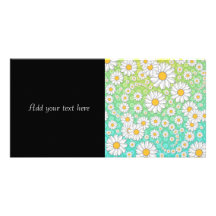 White Daisies on Blue Green Background Photo Cards