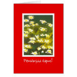 White Daisies on Red Birthday Card: Welsh Greeting