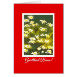 White Daisies on Red Get Well Card: Welsh Greeting