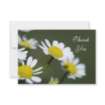 thank you, floral, flowers, white, flower, daisy,