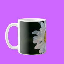 White daisy 5 mugs