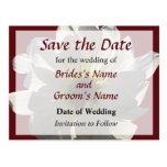 White Daisy Backlit Save the Date Post Card