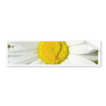 White Daisy Bumper Sticker