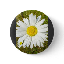 White Daisy buttons by lifesphere White Daisy buttons