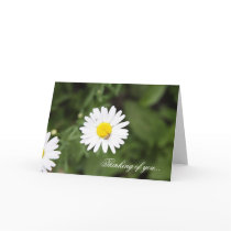 White Daisy cards