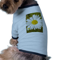 White Daisy pet clothing by lifesphere White Daisy pet clothing