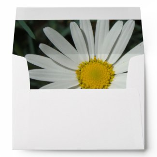 White Daisy Envelope envelope