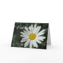 White Daisy - Feel Better - Customizable Card card
