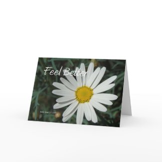 White Daisy - Feel Better - Customizable Card card