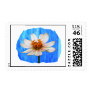 White daisy flower against light blue background stamp