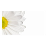 White Daisy Flower Background Customized Daisies Business Card Template