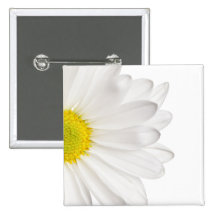 White Daisy Flower Background Customized Daisies Button