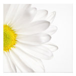 White Daisy Flower Background Customized Daisies Invites
