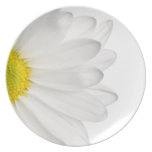 White Daisy Flower Background Customized Daisies Plates