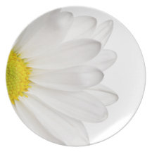 White Daisy Flower Background Customized Daisies Plates